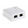 Cat. 6a STP surface-mount box, 2x RJ-45