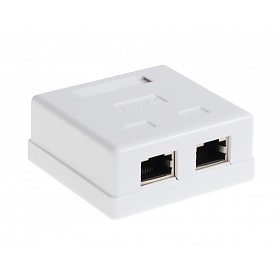 Cat. 6a STP surface-mount box, 2x RJ-45