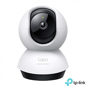 4Mpx Pan/Tilt Wi-Fi Camera (TP-Link Tapo C220)