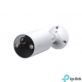 Outdoor Security Wi-Fi Camera (TP-Link Tapo C410)